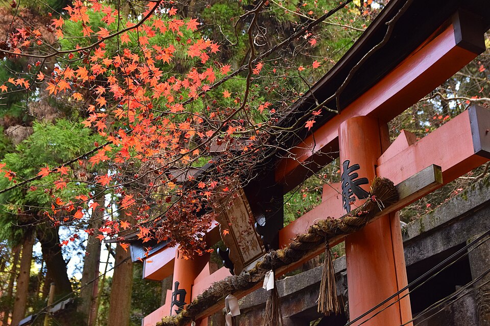 紅葉の中の伏見稲荷大社の鳥居